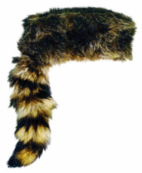 The preferred headgear of patriotic frontiersmen and plain-spoken politicians such as Davy Crockett, the King of the Wild Frontier.